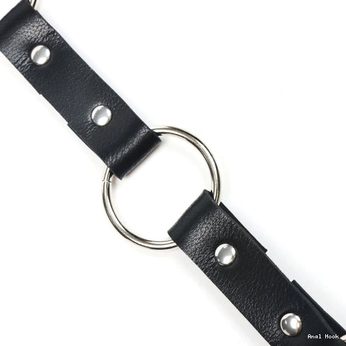 EverydayUse Leash Collar Kinky Anal 5853 and Hook with 0309